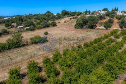 Terreno para Venda em Almancil