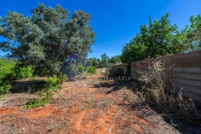 Terreno para Venda em Almancil