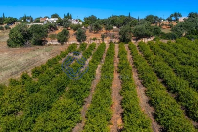 Terreno para Venda em Almancil