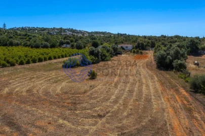 Terreno para Venda em Almancil
