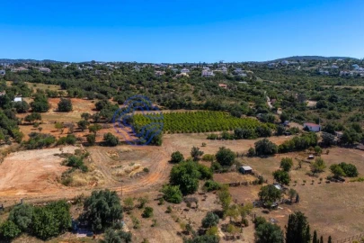Terreno para Venda em Almancil