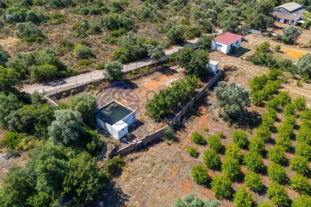 Terreno para Venda em Almancil Foto 21