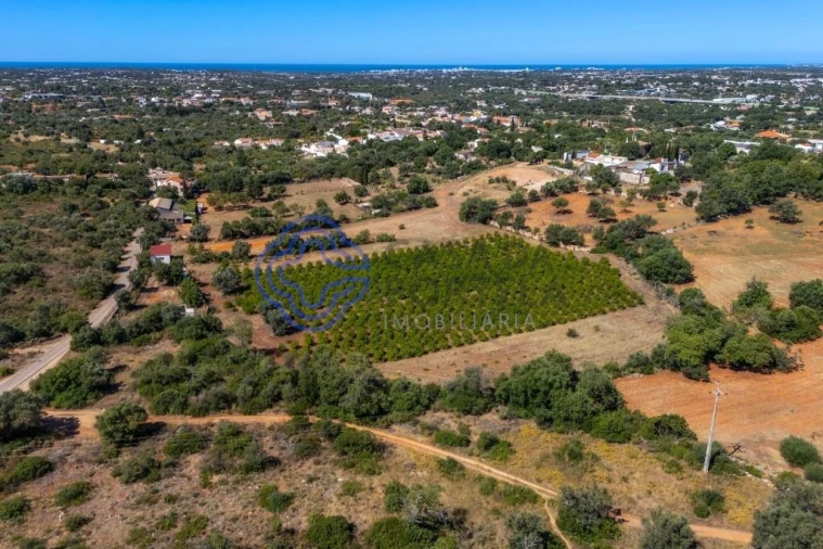 Terreno para Venda em Almancil Foto 19