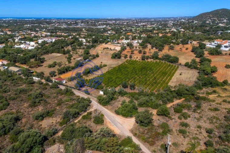 Terreno para Venda em Almancil Foto 18