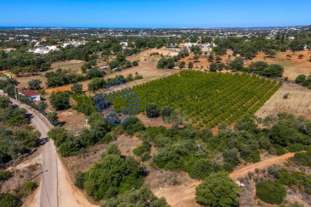 Terreno para Venda em Almancil Foto 26