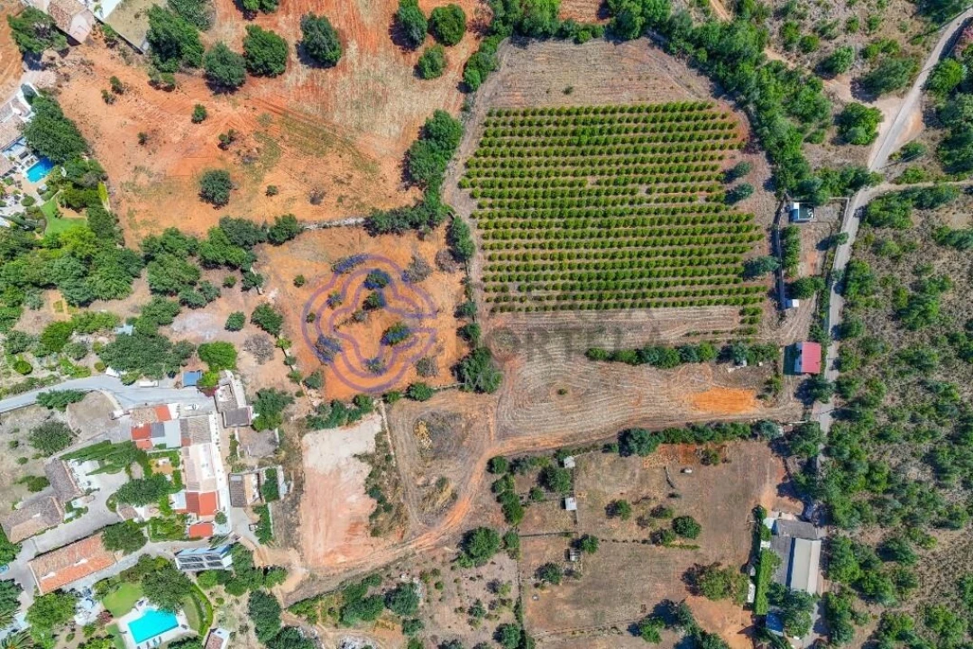 Terreno para Venda em Almancil Foto 13
