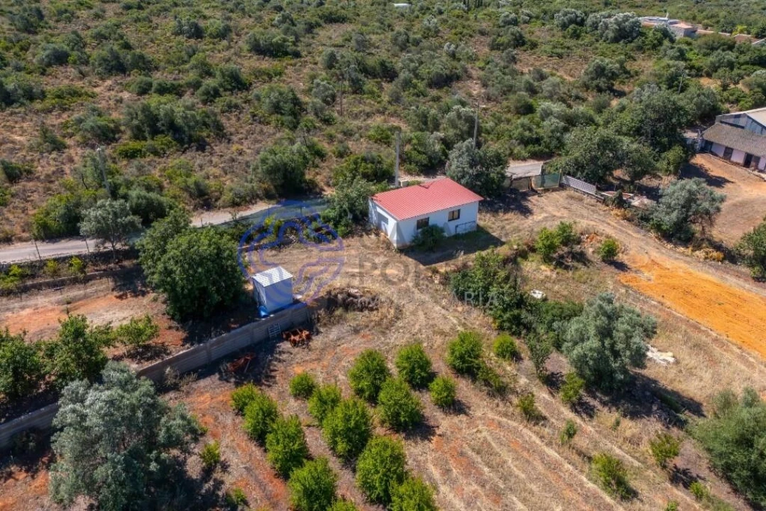 Terreno para Venda em Almancil Foto 22