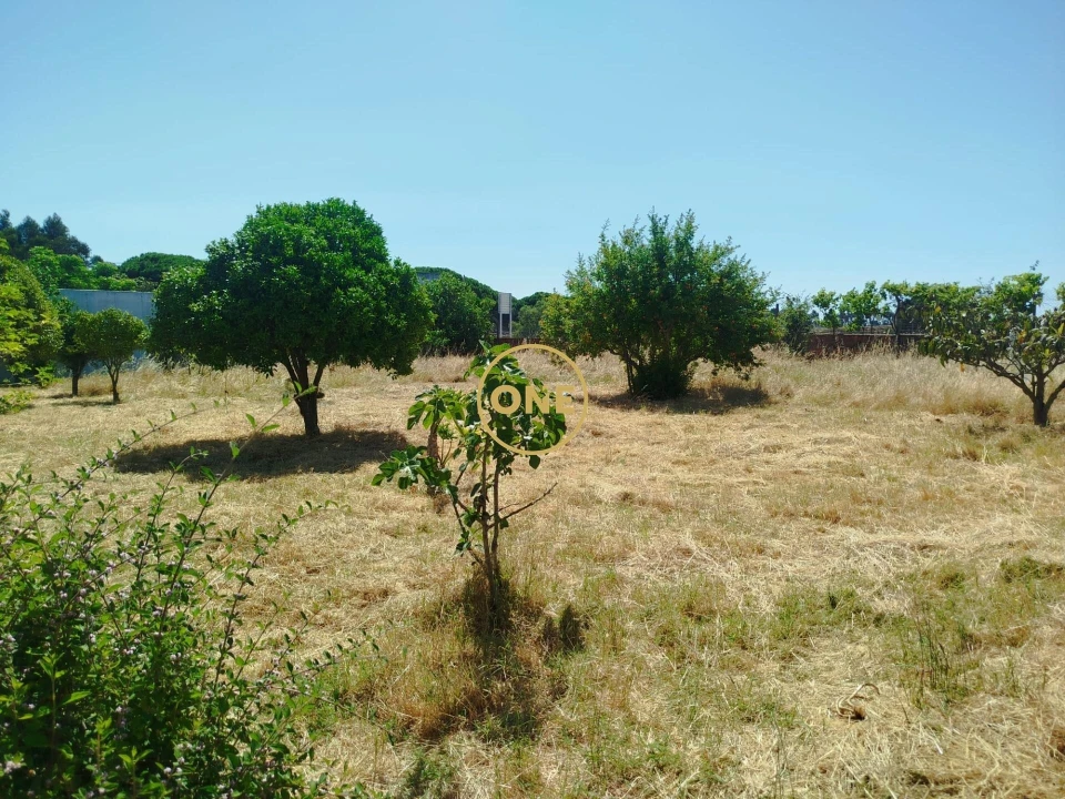 Terreno para Venda em Moita Foto 1