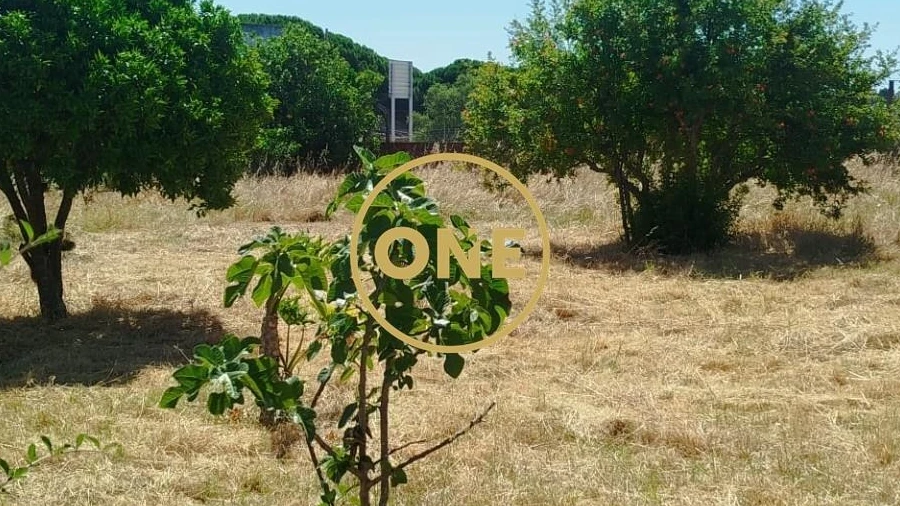 Terreno para Venda em Moita