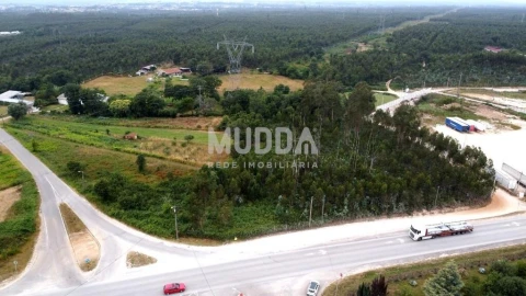 Terreno para Venda em Albergaria-A-Velha e Valmaior