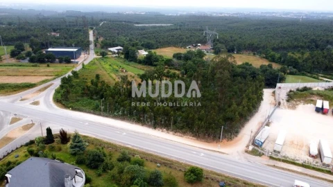 Terreno para Venda em Albergaria-A-Velha e Valmaior