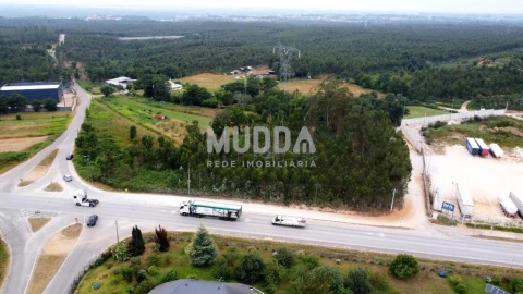 Terreno para Venda em Albergaria-A-Velha e Valmaior