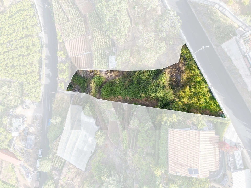 Terreno para Venda em Camara de Lobos Foto 8
