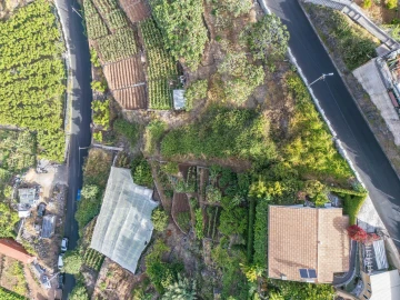 Terreno para Venda em Camara de Lobos