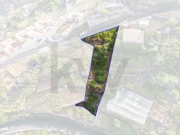 Terreno para Venda em Camara de Lobos