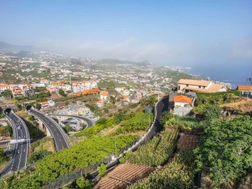 Terreno para Venda em Camara de Lobos