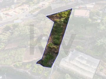 Terreno para Venda em Camara de Lobos