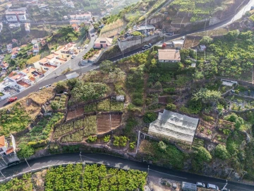 Terreno para Venda em Camara de Lobos