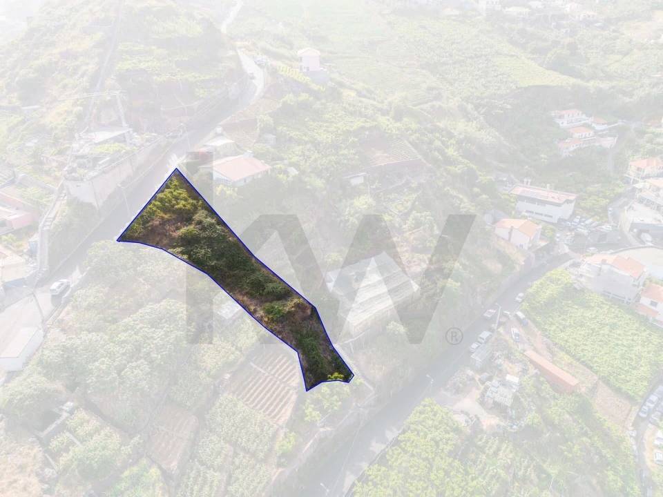 Terreno para Venda em Camara de Lobos Foto 10