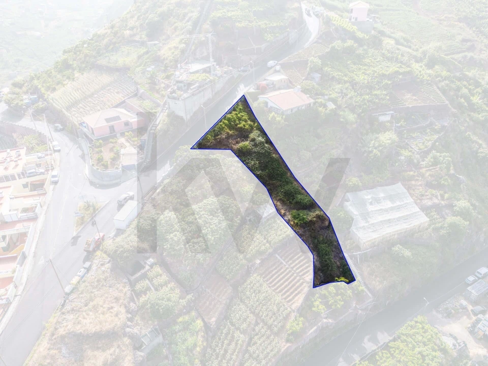 Terreno para Venda em Camara de Lobos Foto 12