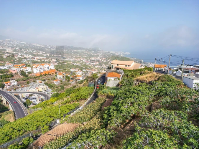 Terreno para Venda em Camara de Lobos Foto 13