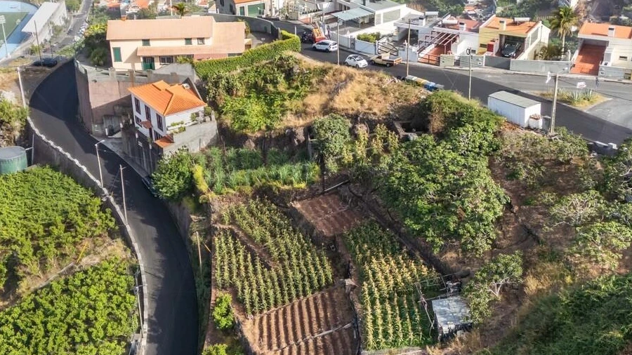 Terreno para Venda em Camara de Lobos