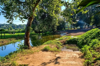 Quinta T5 para Venda em Pedreira, Rande e Sernande