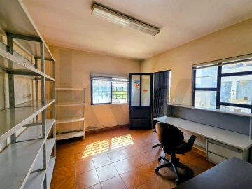 Armazém para Arrendamento em Santo Andre de Vagos