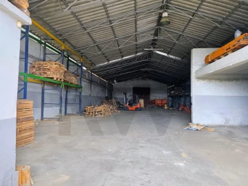 Armazém para Arrendamento em Santo Andre de Vagos