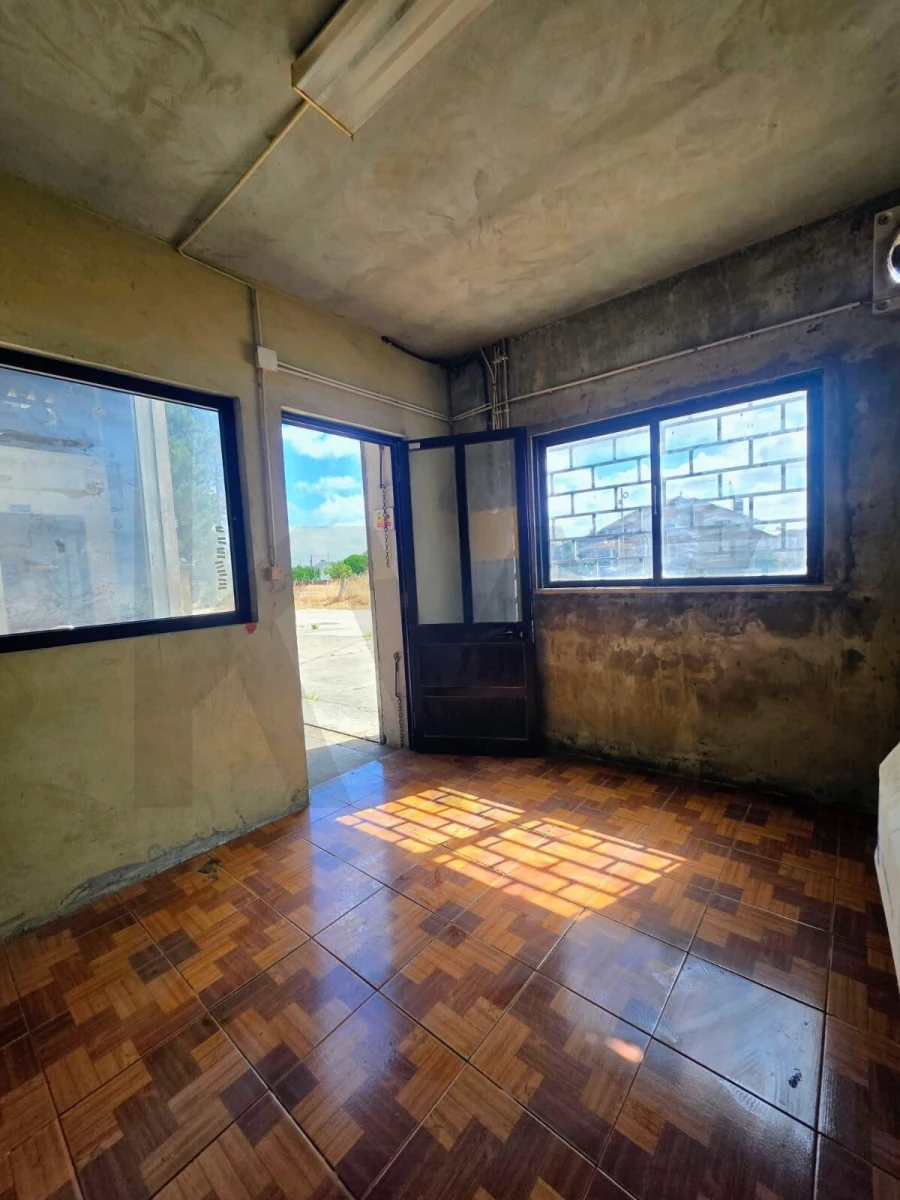 Armazém para Arrendamento em Santo Andre de Vagos Foto 3