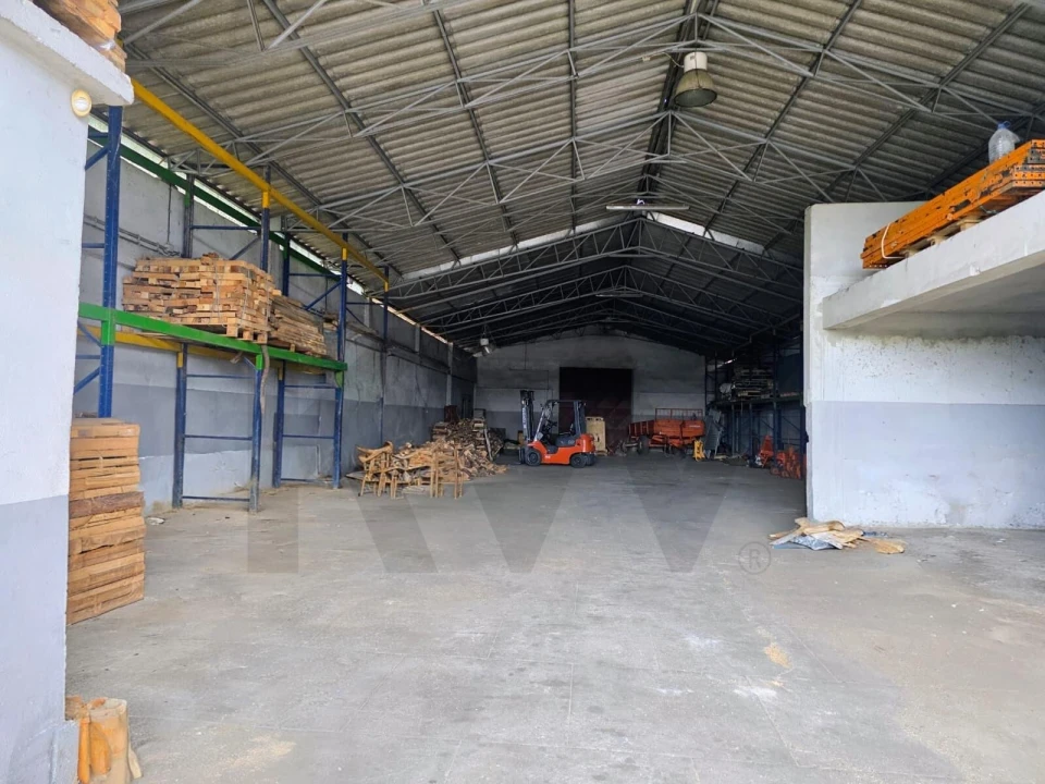 Armazém para Arrendamento em Santo Andre de Vagos Foto 4