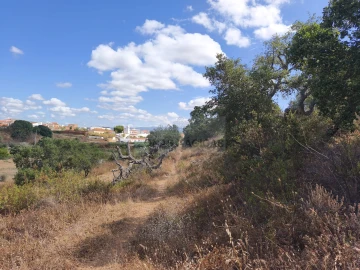 Terreno para Venda em Odiaxere