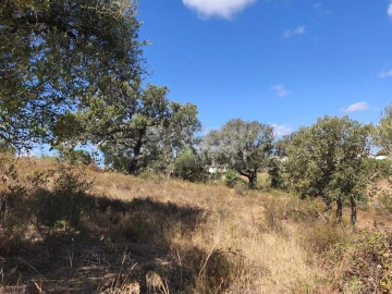 Terreno para Venda em Odiaxere