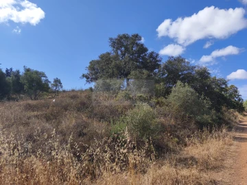 Terreno para Venda em Odiaxere
