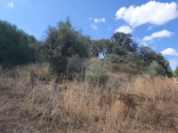 Terreno para Venda em Odiaxere