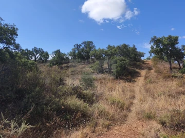 Terreno para Venda em Odiaxere