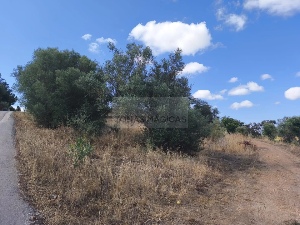 Terreno para Venda em Odiaxere Foto 10