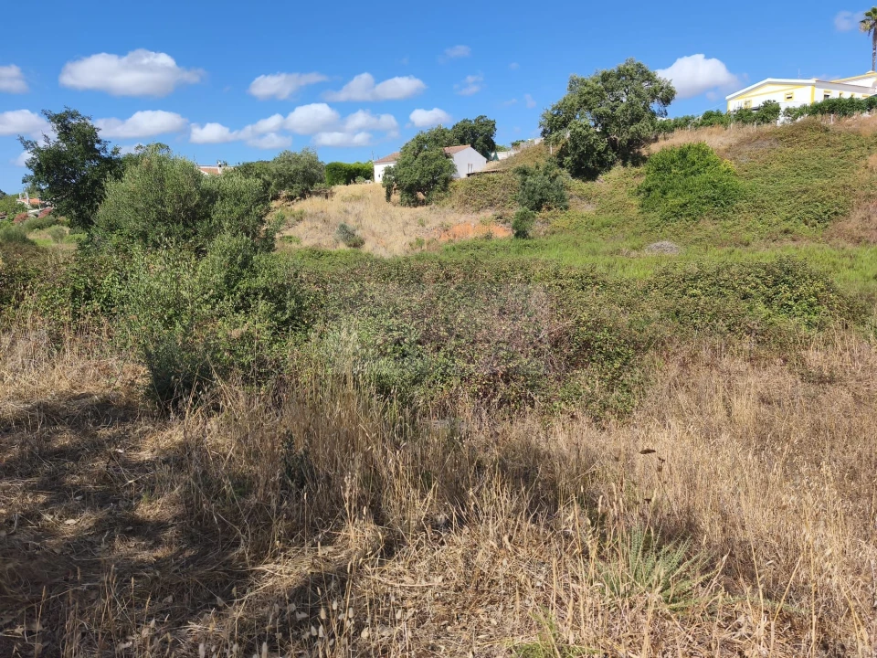 Terreno para Venda em Odiaxere Foto 2