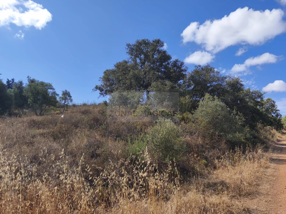 Terreno para Venda em Odiaxere Foto 8