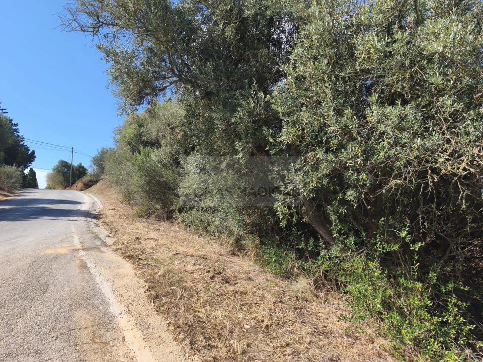 Terreno para Venda em Odiaxere Foto 4