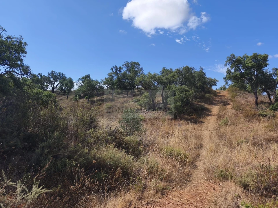 Terreno para Venda em Odiaxere Foto 1
