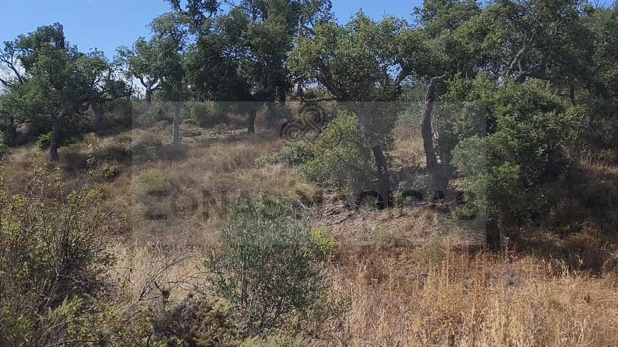 Terreno para Venda em Odiaxere