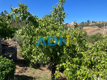 Moradia T4 para Venda em Santo Andre das Tojeiras