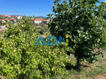 Moradia T4 para Venda em Santo Andre das Tojeiras