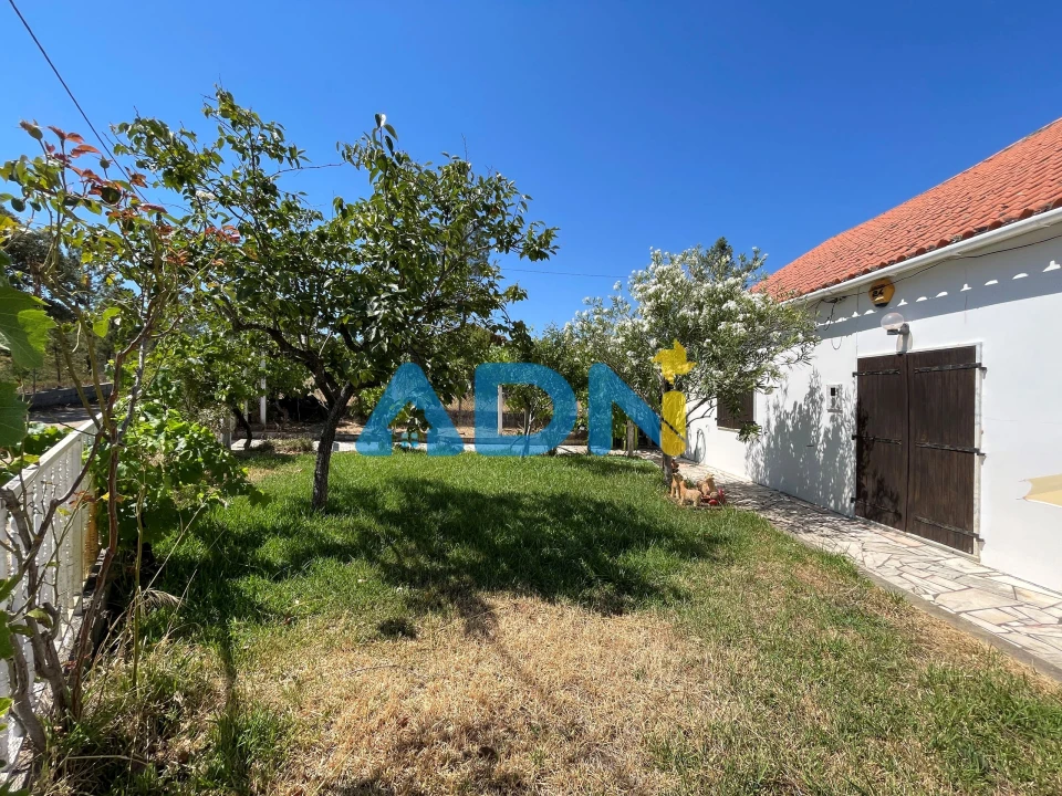 Moradia T4 para Venda em Santo Andre das Tojeiras Foto 6