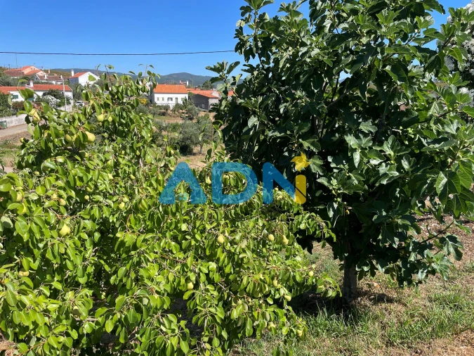 Moradia T4 para Venda em Santo Andre das Tojeiras Foto 53