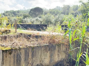 Moradia T6 para Venda em São Miguel do Rio Torto e Rossio Ao Sul do Tejo