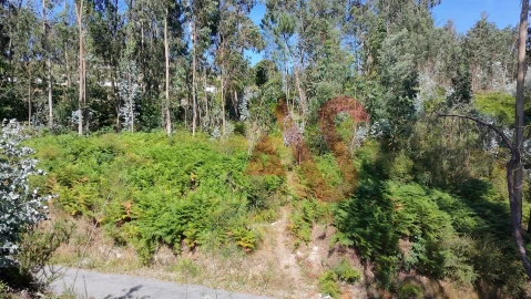 Terreno para Venda em Silvares, Pias, Nogueira e Alvarenga