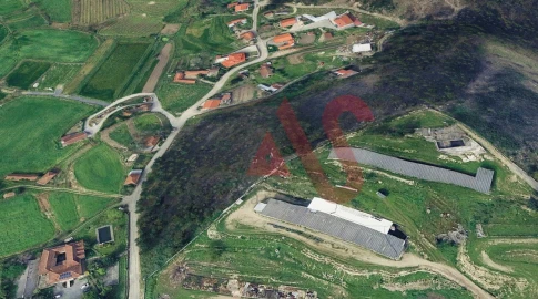 Terreno Misto para Venda em Silvares, Pias, Nogueira e Alvarenga