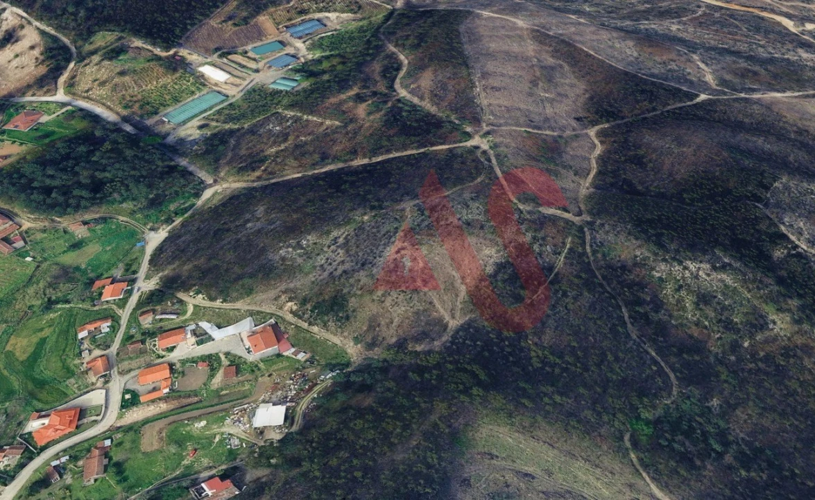 Terreno para Venda em Silvares, Pias, Nogueira e Alvarenga Foto 2
